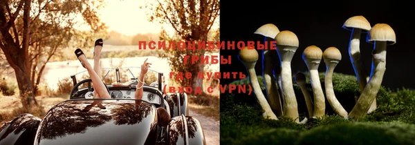 МДМА Новодвинск