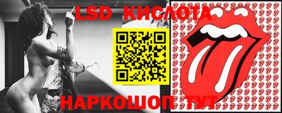 стаф Берёзовский