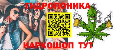 стаф Берёзовский