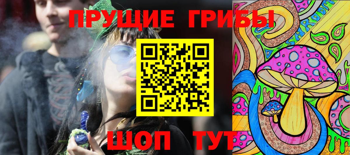 Псилоцибиновые грибы GOLDEN TEACHER  Вход с VPN  Галлюциногенные грибы MAGIC MUSHROOMS  Отрадное 