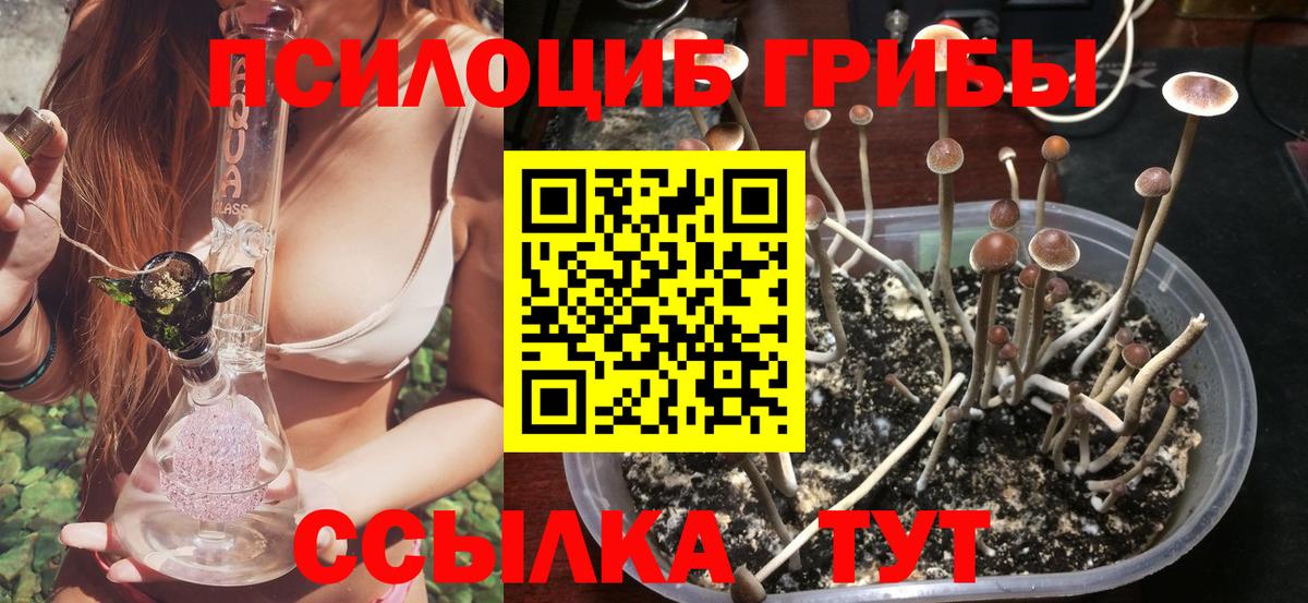 Cocaine  МАРИХУАНА  МЕТ  Отрадное  МЕФ   Вход с VPN  ГАШИШ 