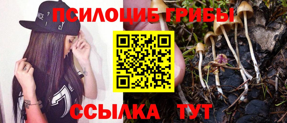 Псилоцибиновые грибы Magic Shrooms Отрадное