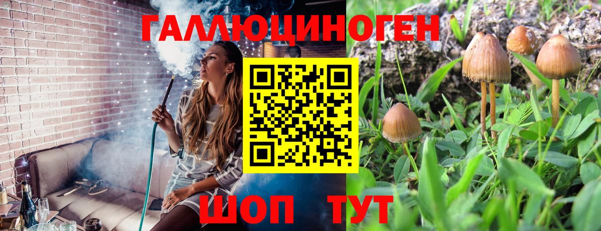 Галлюциногенные грибы GOLDEN TEACHER  Отрадное  Псилоцибиновые грибы Psilocybe 